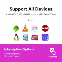 4k Europe IPTV 12 Month Mega OTT 30000+ Abonnement IPTV Smarter Player Code Android M3U