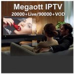 Best Smarter IPTV 12 Month MegaOTT Abonnement IPTV Smarter Player Code App Android M3U updated List
